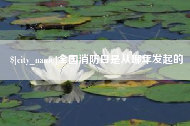 临沂全国消防日是从哪年发起的
