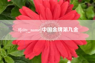 临沂中国金牌第九金