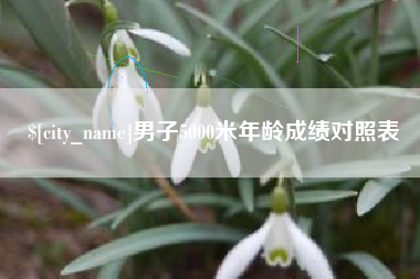 临沂男子5000米年龄成绩对照表