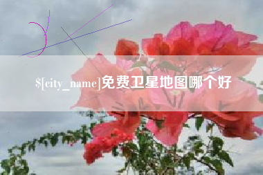 临沂免费卫星地图哪个好