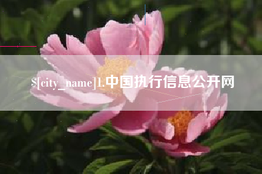 临沂1.中国执行信息公开网