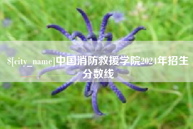 临沂中国消防救援学院2024年招生分数线