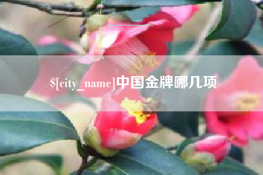临沂中国金牌哪几项