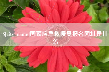 临沂国家应急救援员报名网址是什么