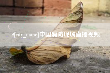临沂中国消防现场直播视频