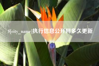 临沂执行信息公开网多久更新