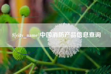 临沂中国消防产品信息查询