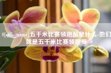 临沂五千米比赛领跑员是什么-他们就是五千米比赛领跑员