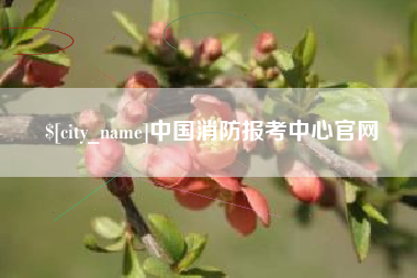 临沂中国消防报考中心官网
