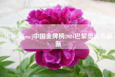 临沂中国金牌榜2024巴黎奥运会最新