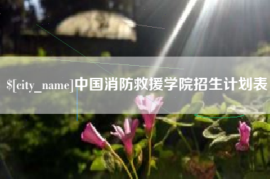 临沂中国消防救援学院招生计划表