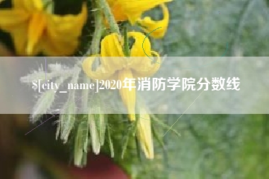 临沂2020年消防学院分数线