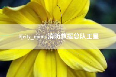 临沂消防救援总队王星