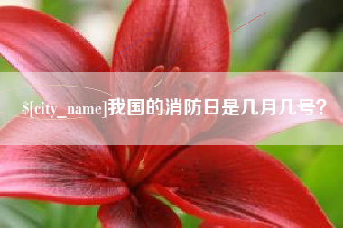 临沂我国的消防日是几月几号？
