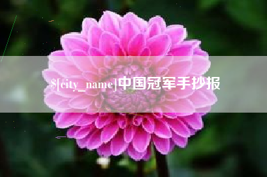 临沂中国冠军手抄报