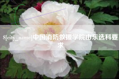 临沂中国消防救援学院山东选科要求