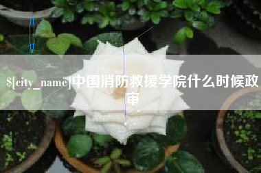 临沂中国消防救援学院什么时候政审