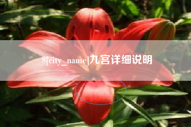 临沂九宫详细说明