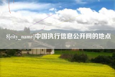 临沂中国执行信息公开网的地点
