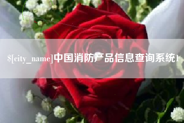 临沂中国消防产品信息查询系统1