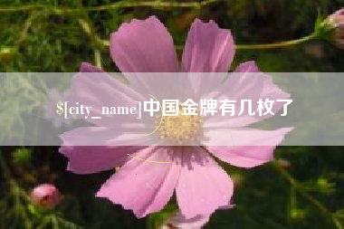 临沂中国金牌有几枚了