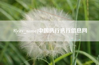 临沂中国执行执行信息网