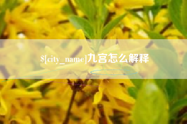 临沂九宫怎么解释