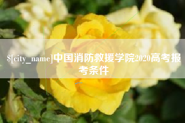 临沂中国消防救援学院2020高考报考条件