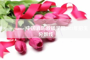 临沂中国消防救援学院2021年招生分数线