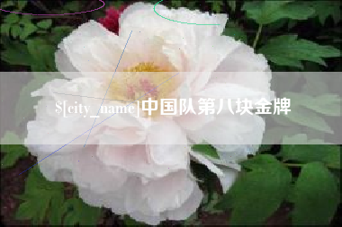 临沂中国队第八块金牌