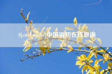 临沂中国消防在线查询