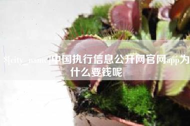 临沂中国执行信息公开网官网app为什么要钱呢