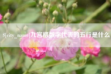 临沂九宫格数字代表的五行是什么