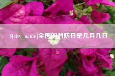 临沂全国的消防日是几月几日