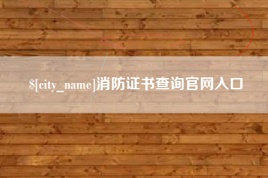 临沂消防证书查询官网入口