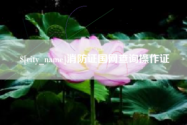 临沂消防证国网查询操作证