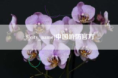 临沂中国消防官方