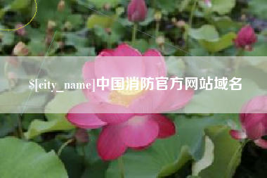 临沂中国消防官方网站域名