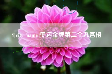 临沂奥运金牌第二个九宫格
