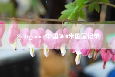 临沂中国5000米国家记录