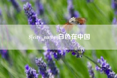 临沂白色在中国