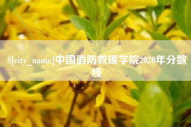 临沂中国消防救援学院2020年分数线