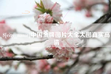 临沂中国金牌图片大全大图真实高清
