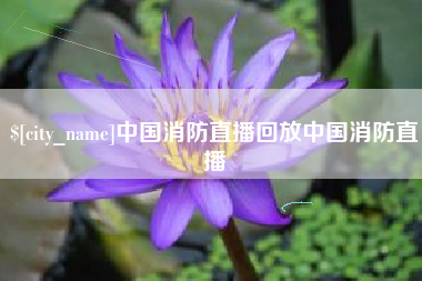 临沂中国消防直播回放中国消防直播