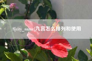 临沂九宫怎么排列和使用