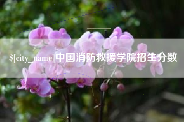 临沂中国消防救援学院招生分数