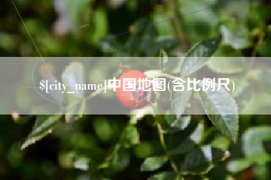 临沂中国地图(含比例尺)