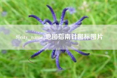 临沂地图指南针图标图片