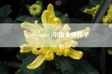 临沂中国金牌样子