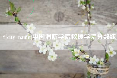 临沂中国消防学院救援学院分数线
